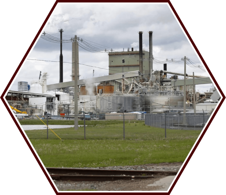 Annual Outage Blue Wolf Performance Solutions