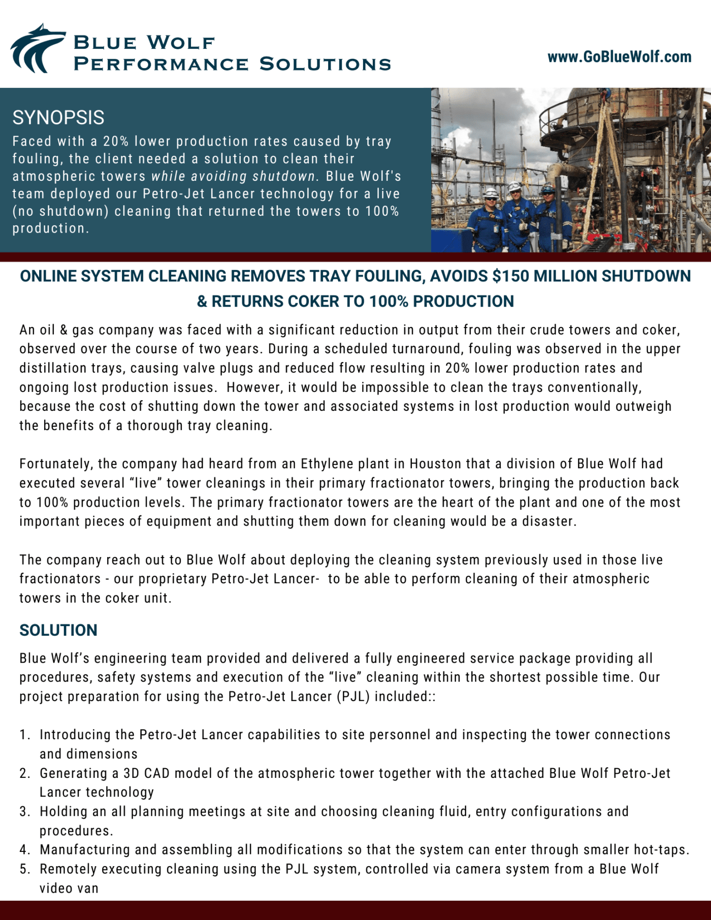 Case Studies - Blue Wolf Performance Solutions